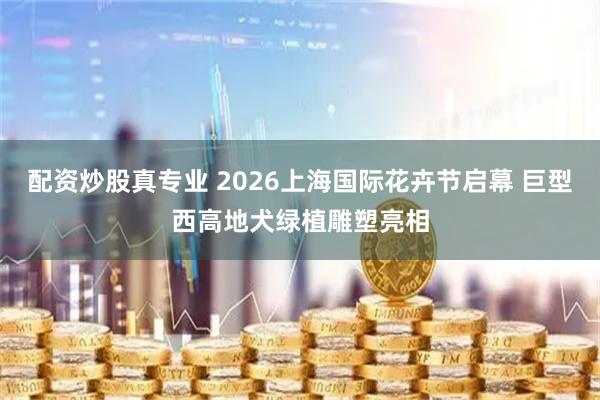 配资炒股真专业 2026上海国际花卉节启幕 巨型西高地犬绿植雕塑亮相