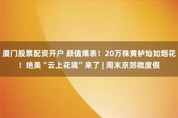 厦门股票配资开户 颜值爆表！20万株黄栌灿如烟花！绝美“云上花境”来了 | 周末京郊微度假